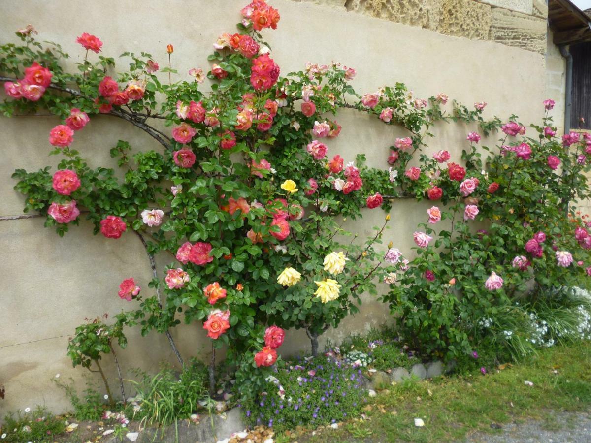 Le Clos Des Rosiers Saint-Émilion Buitenkant foto